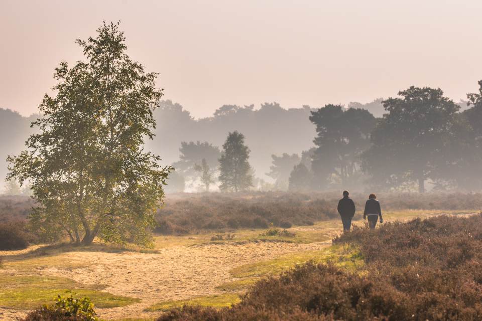 Persoonlijke ontwikkeling